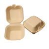 Bagasse Plate Disposable Sugarcane Food Container Hamburger Sugar Cane