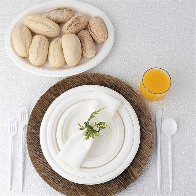 Biodegradable 7" Round Plant Fibre Plate 