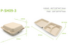 Biodegradable Sugarcane Pulp (P-SH09)9