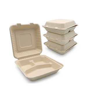 Biodegradable Sugarcane Pulp (P-SH09)9