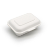 Biodegradable Sugarcane Pulp 600ml Food Box