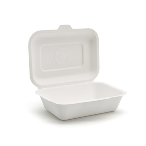Biodegradable Sugarcane Pulp 600ml Food Box
