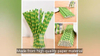 Party Disposable Biodegradable Flat Cut Fine Paper Straw
