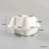 Bagasse Plate Disposable Sugarcane Food Container Hamburger Sugar Cane