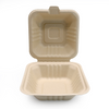 Biodegradable Sugarcane Pulp (P-HB) 6" Hamburger Box 
