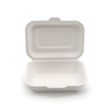 Biodegradable Sugarcane Pulp 600ml Food Box