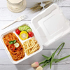 Disposable Eco Friendly Biodegradable Take out to Go Bagasse Bamboo Pulp Wheat Straw Food Container with Lids